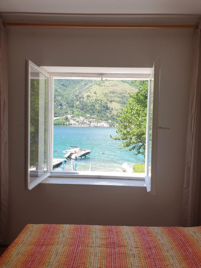 Savic Apartments コトル エクステリア 写真